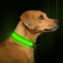 Kép 3/4 - LED kutya nyakörv világító kutyanyakörv - Kék M